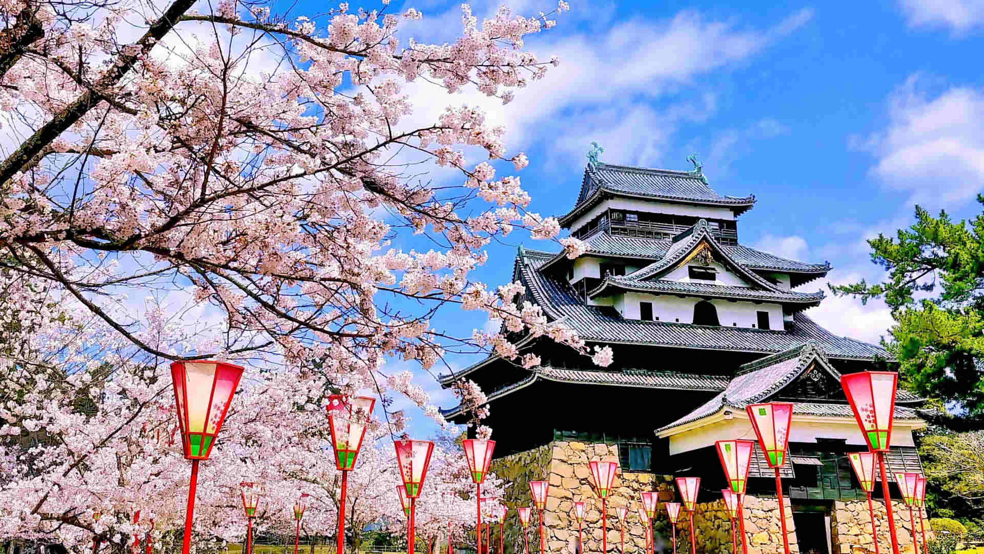 Matsue Castle