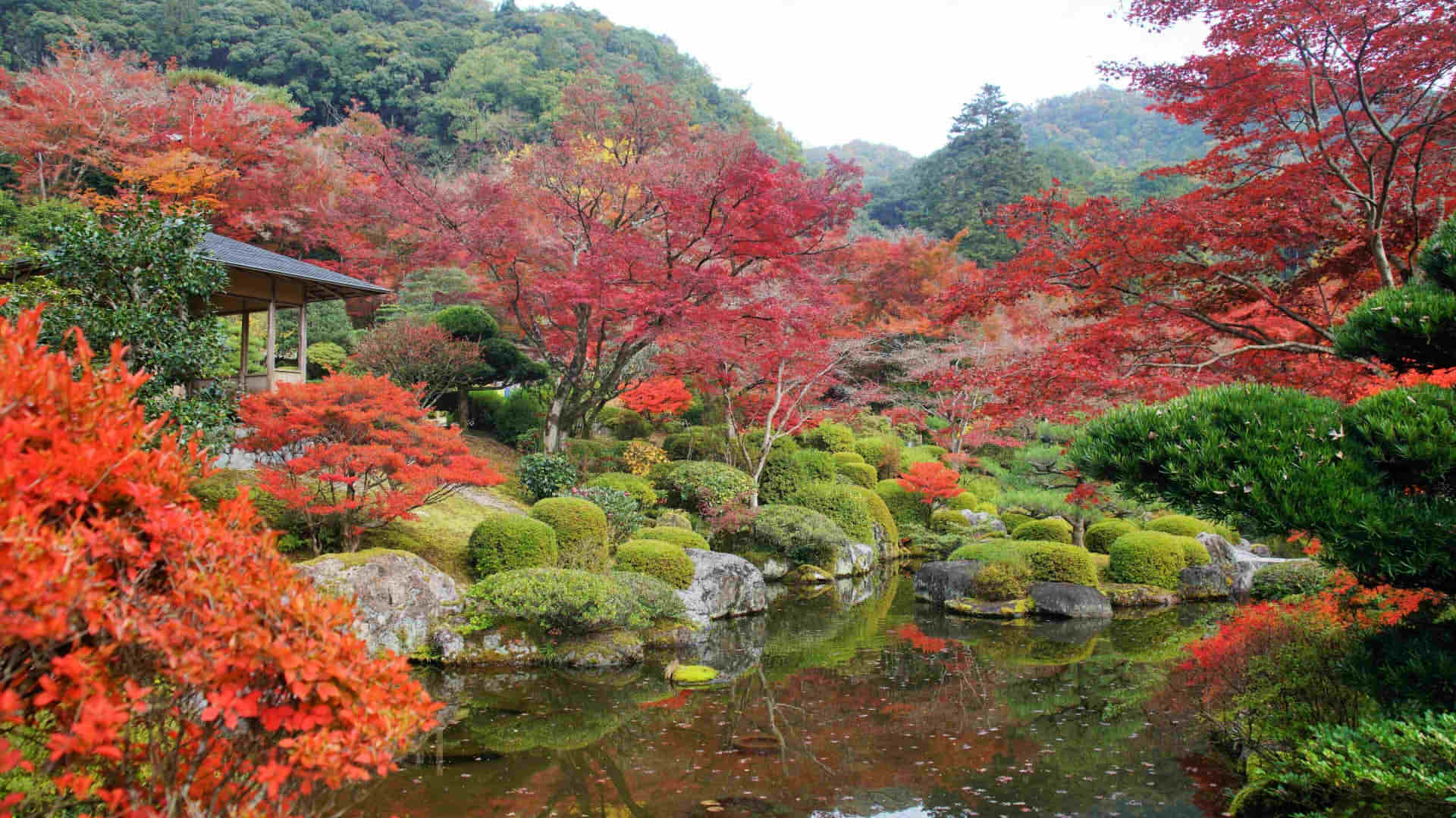 Mimurotoji Temple