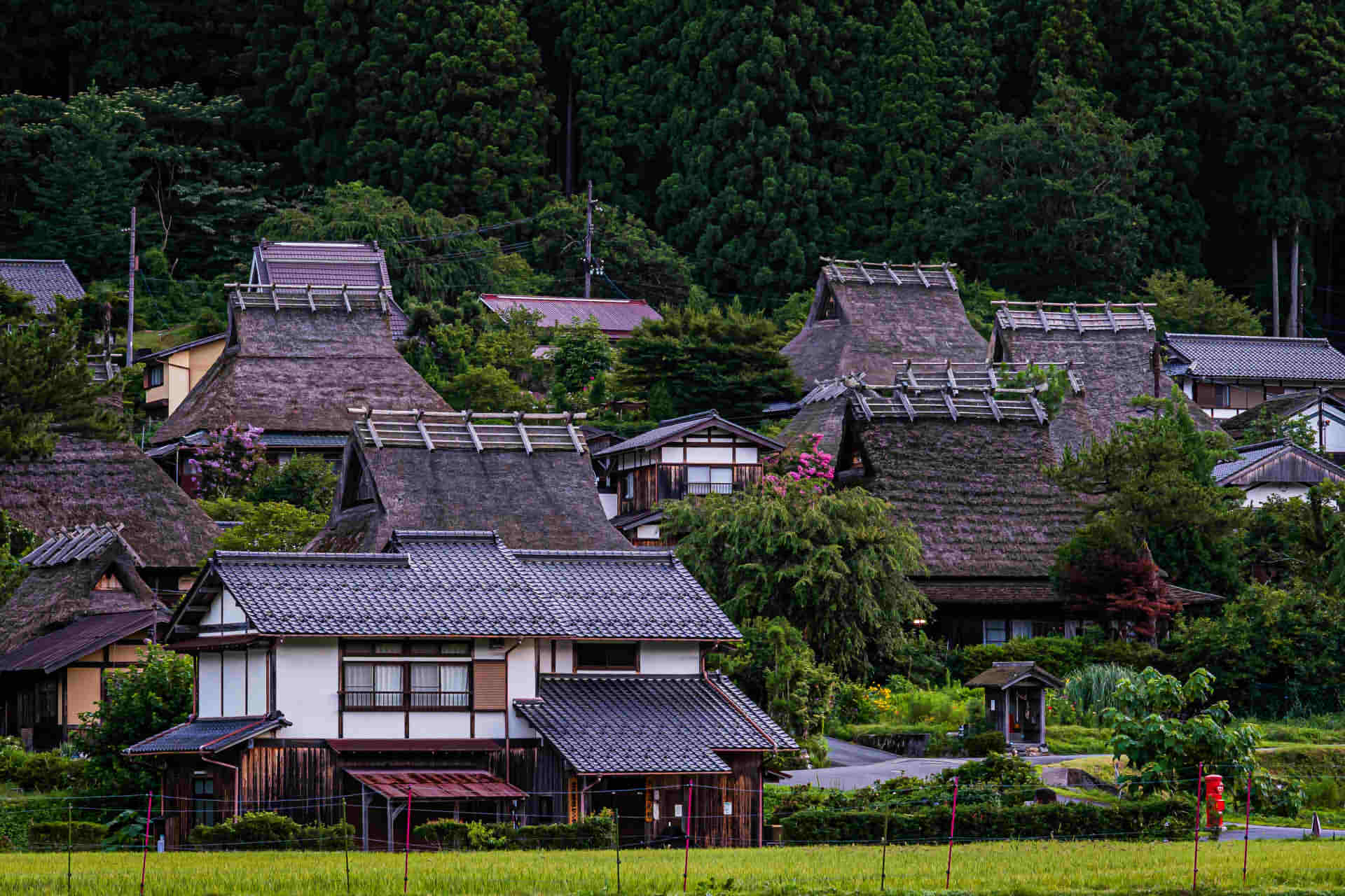 Miyama