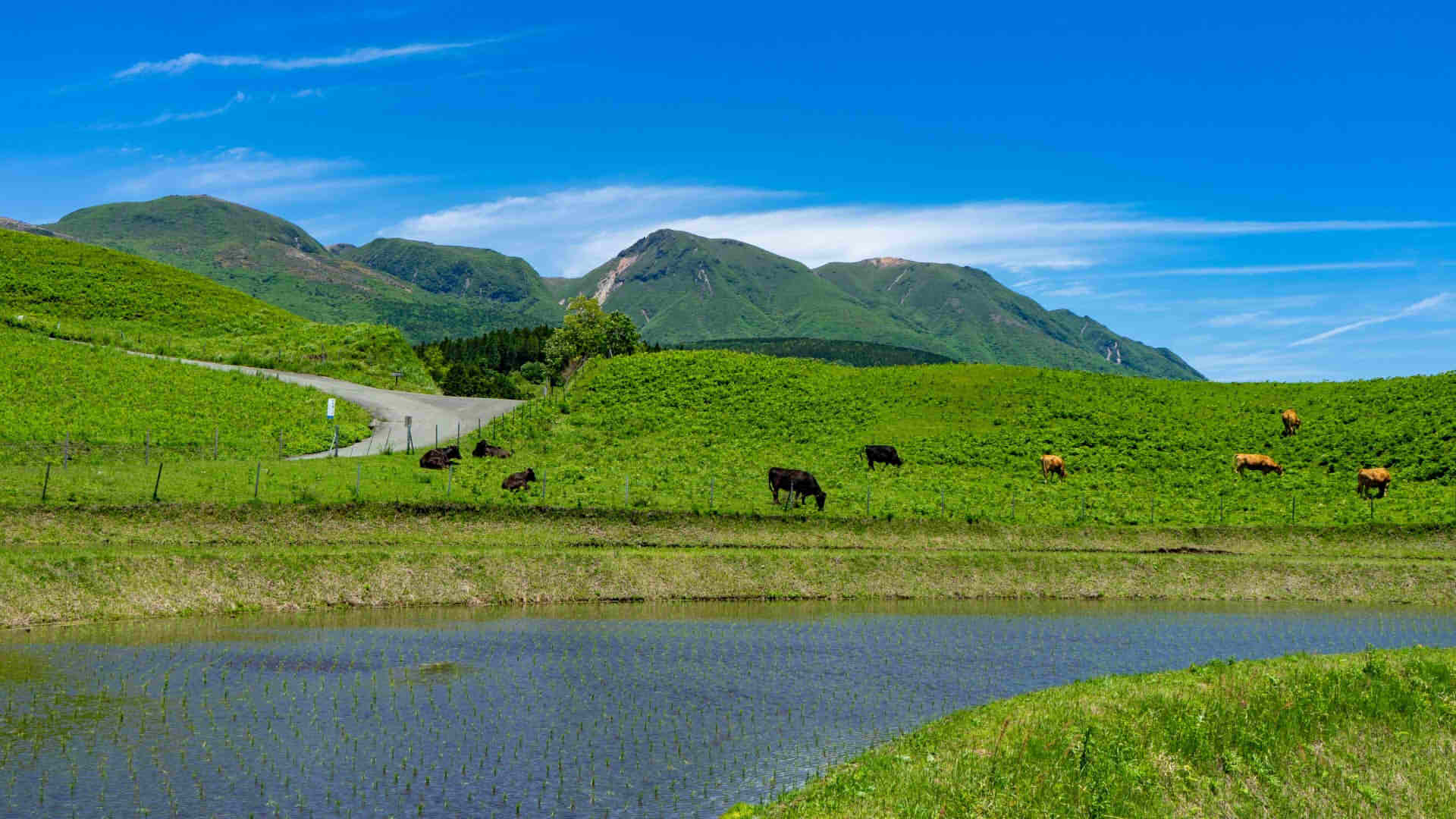 Kuju Mountains