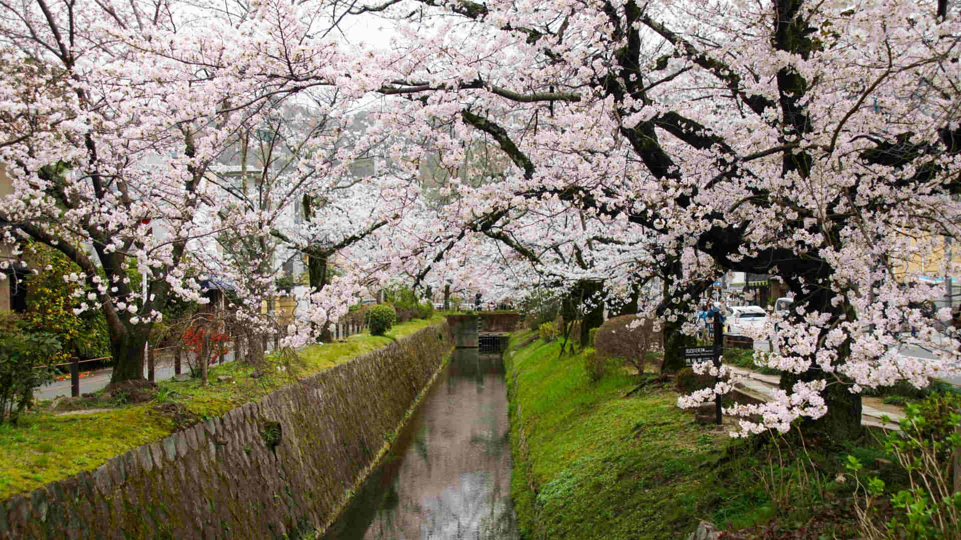 Philosopher’s Path