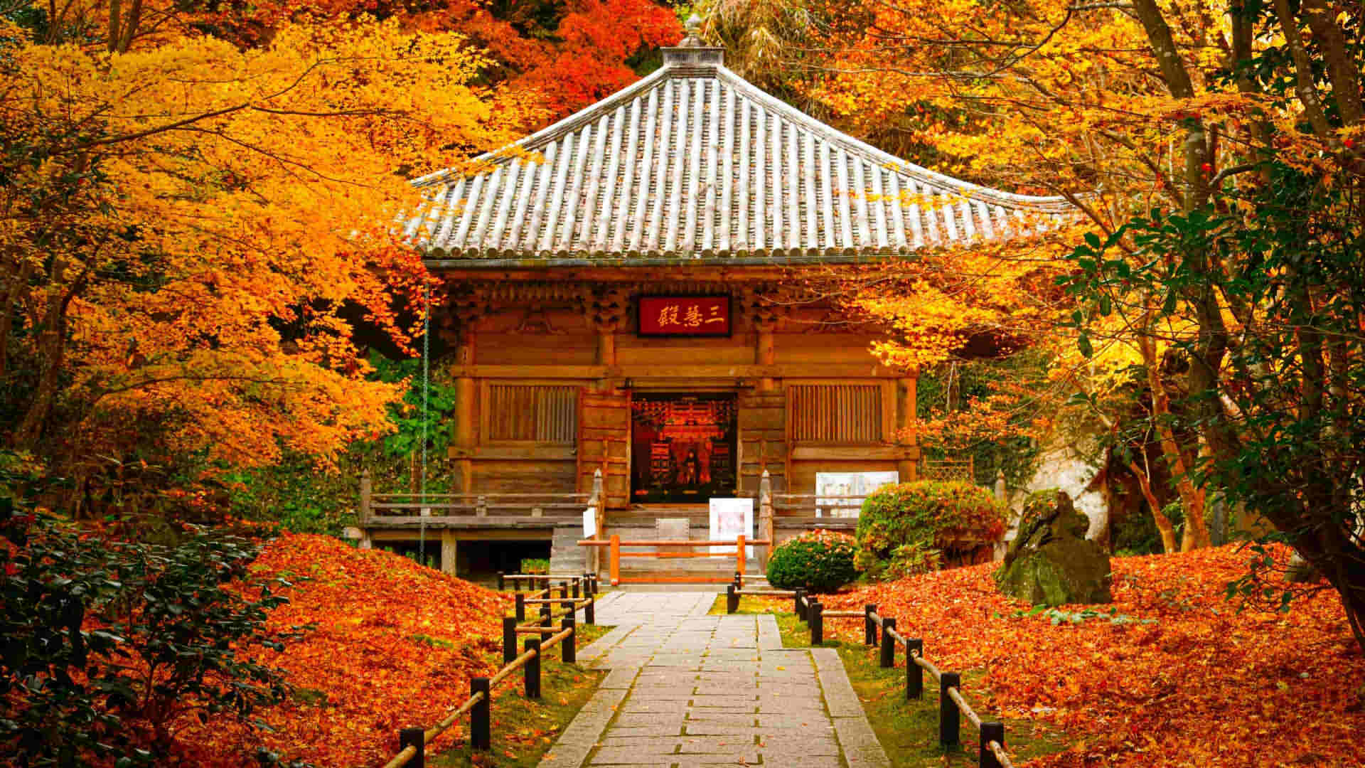 Entsuin Temple - Travel in Japan