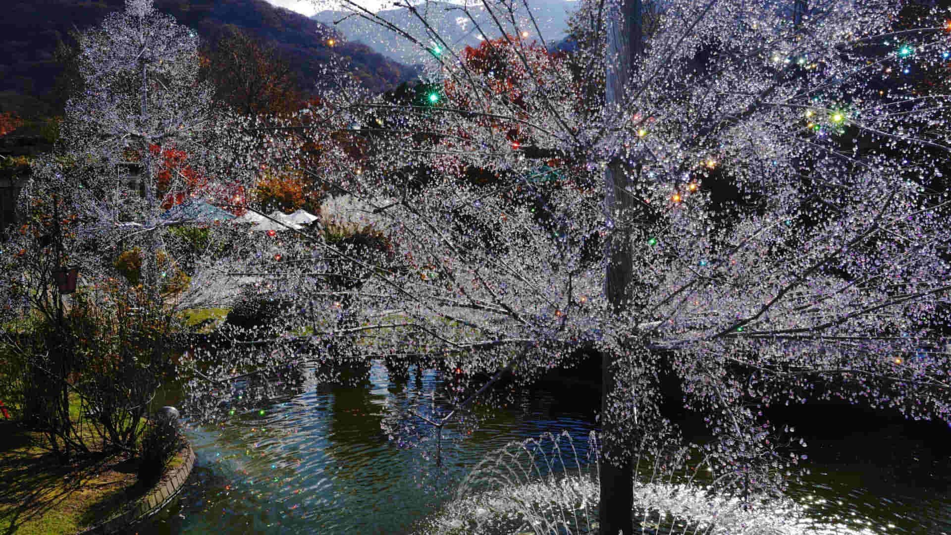Hakone Glass no Mori