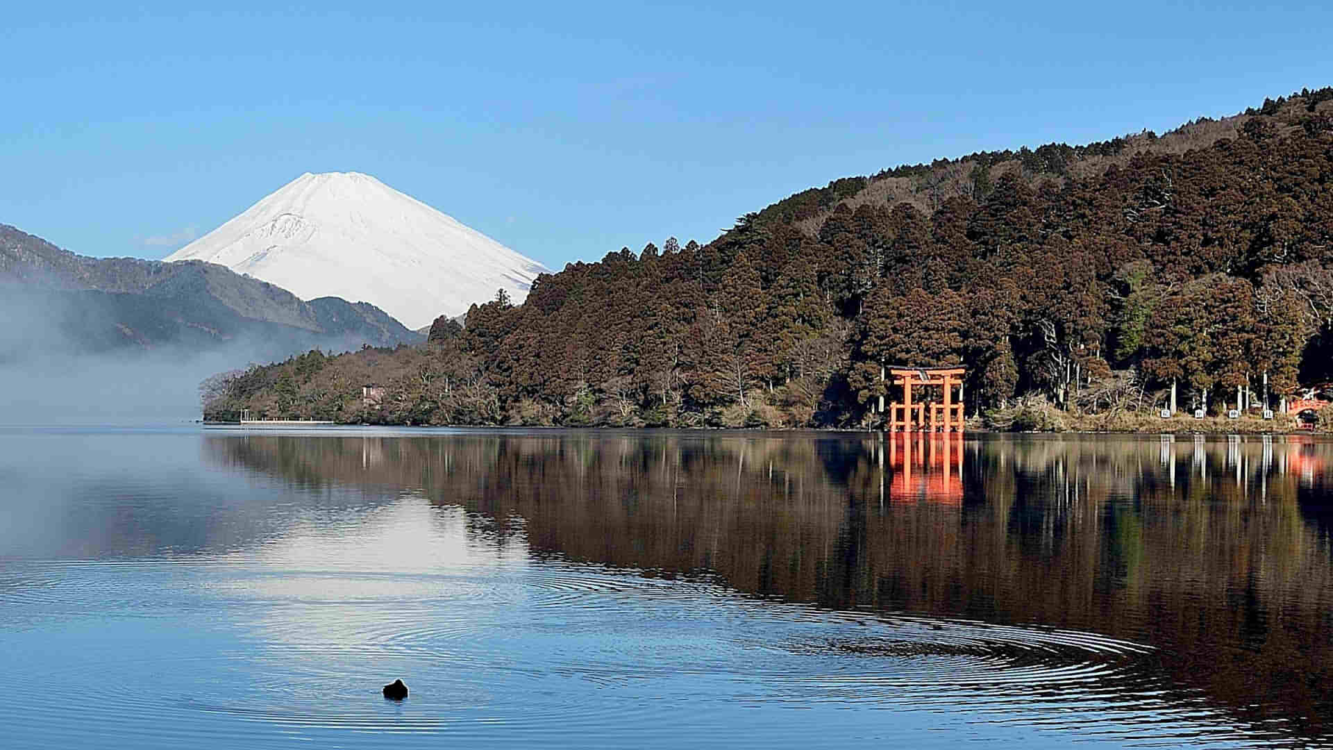 Hakone Shrine