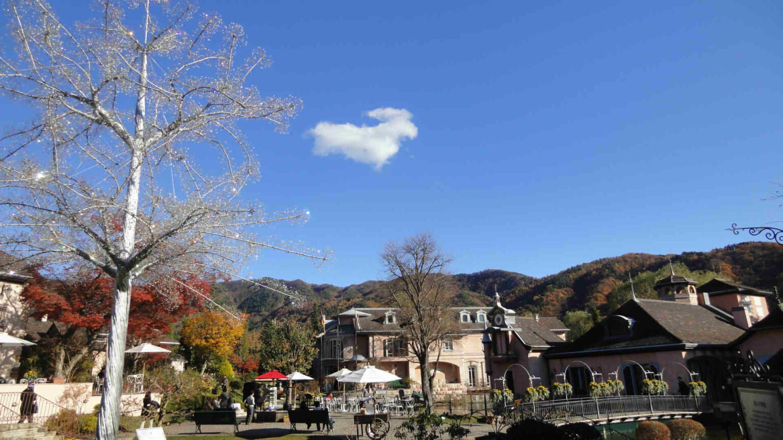 Kawaguchiko Music Forest Travel in Japan