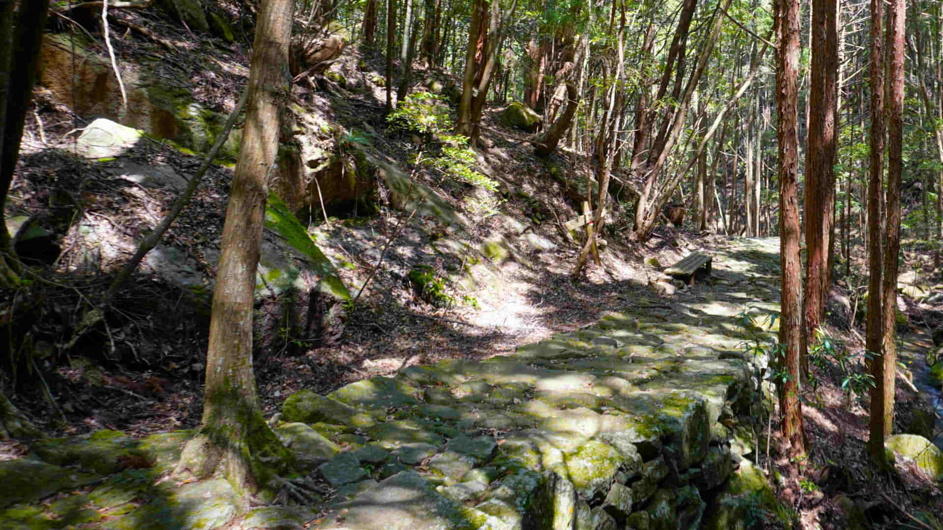 Kumanokodo