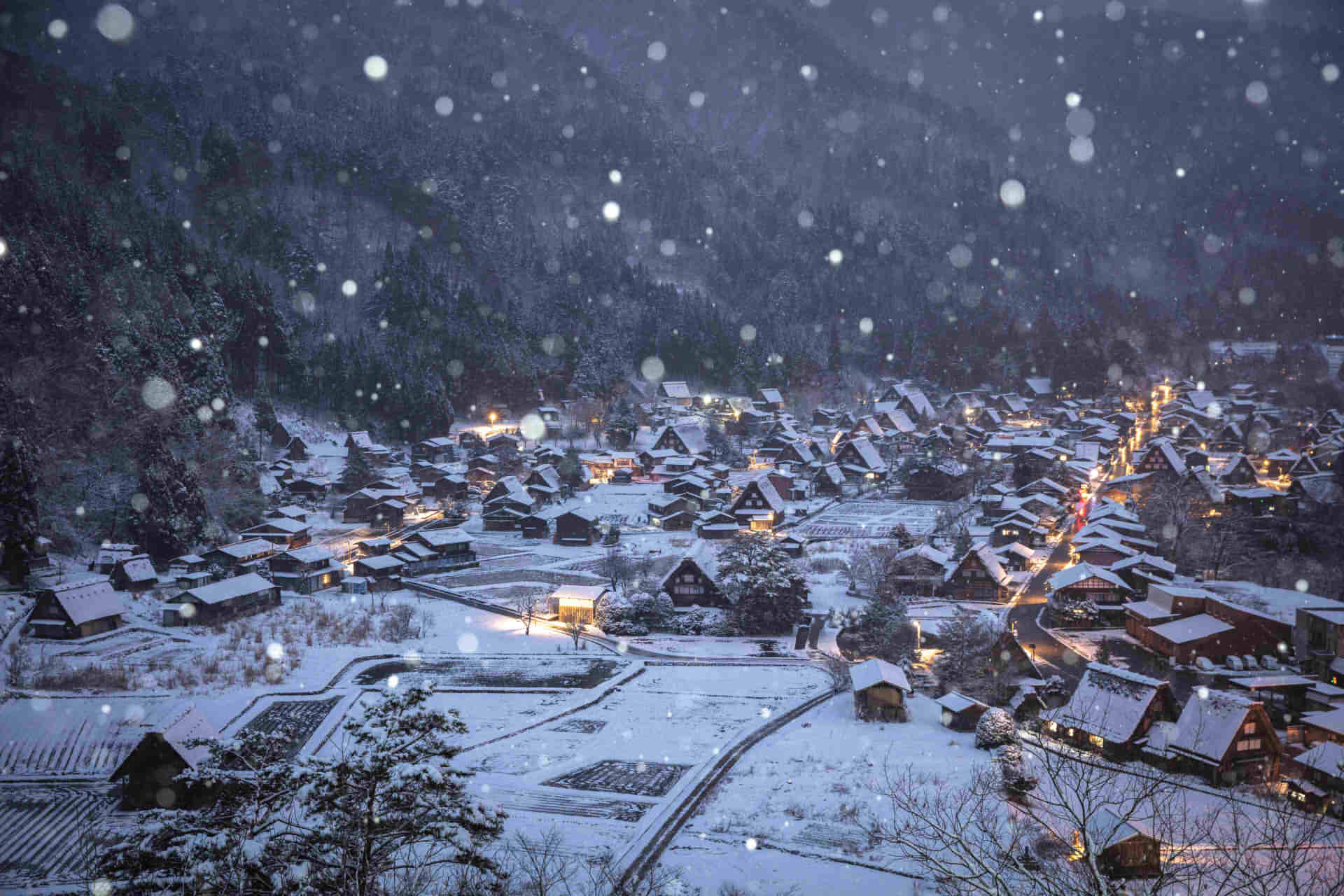 Shirakawago