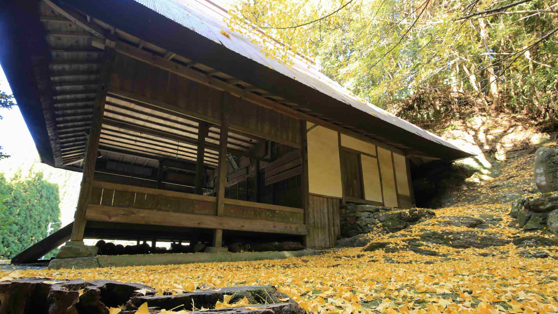 Uchiko