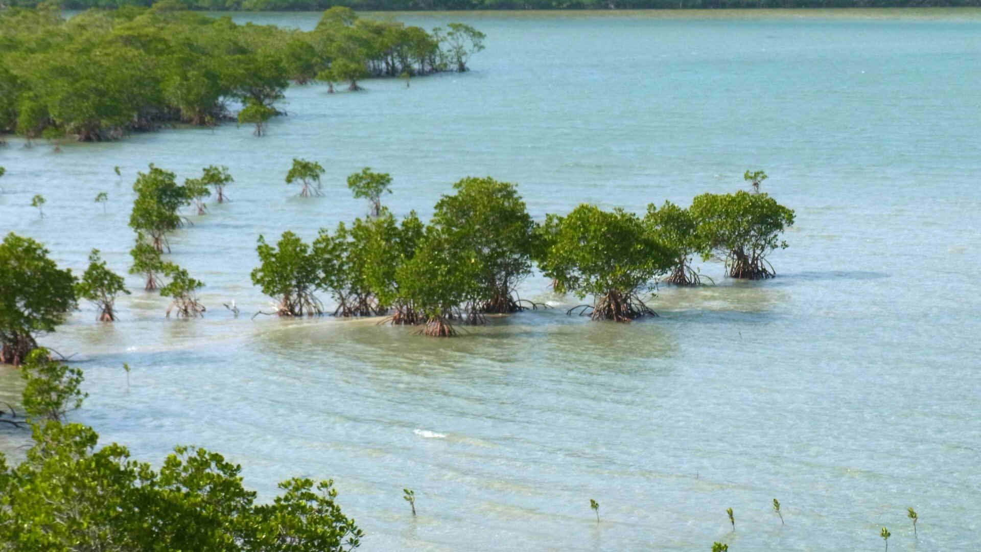 Yaeyama Islands