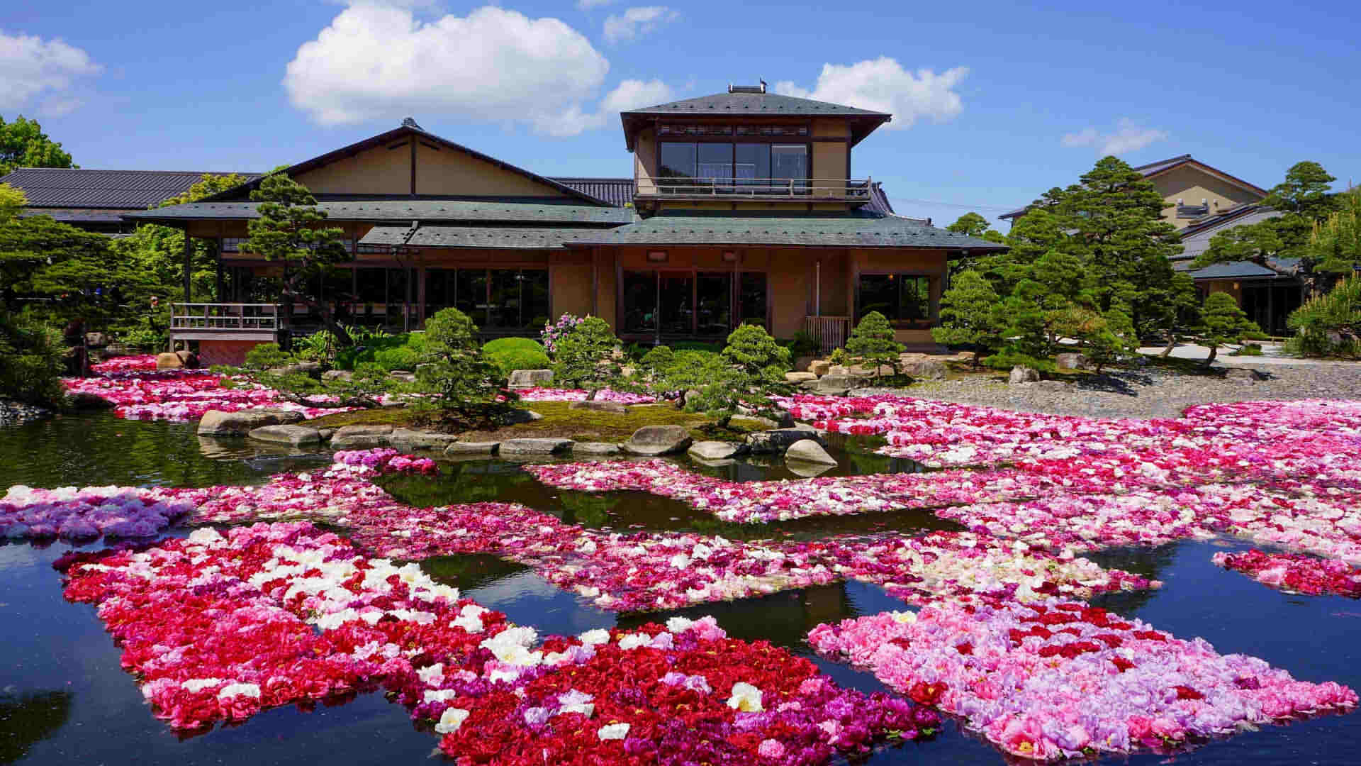 Yushin garden